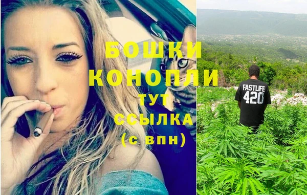 молекула духа Арсеньев