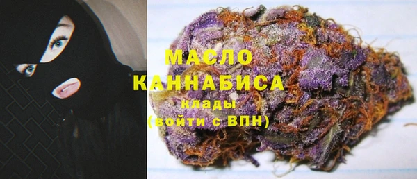молекула духа Арсеньев