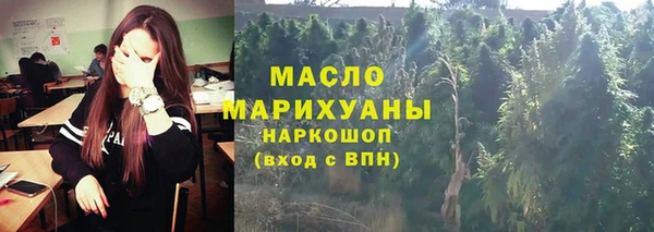 молекула духа Арсеньев
