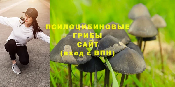трава Армянск