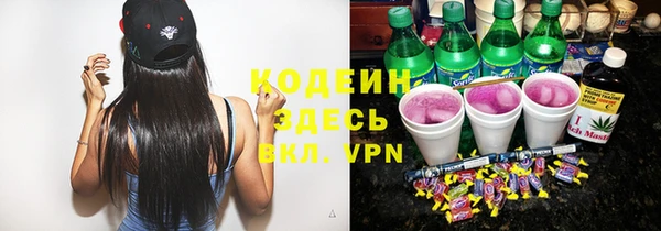 молекула духа Арсеньев